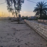 ارض زراعيه • نص دونم • جسر السنيه