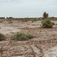 منطقة السورة الجلاع • ٥ دونم • نهرين