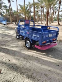 ستوته • فحل • ٢٠٢٣