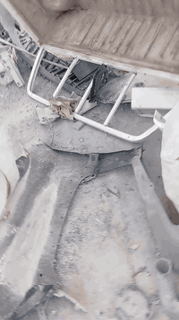 السلام عليكم .. بدي فلاونزه للبيع.. ***********
