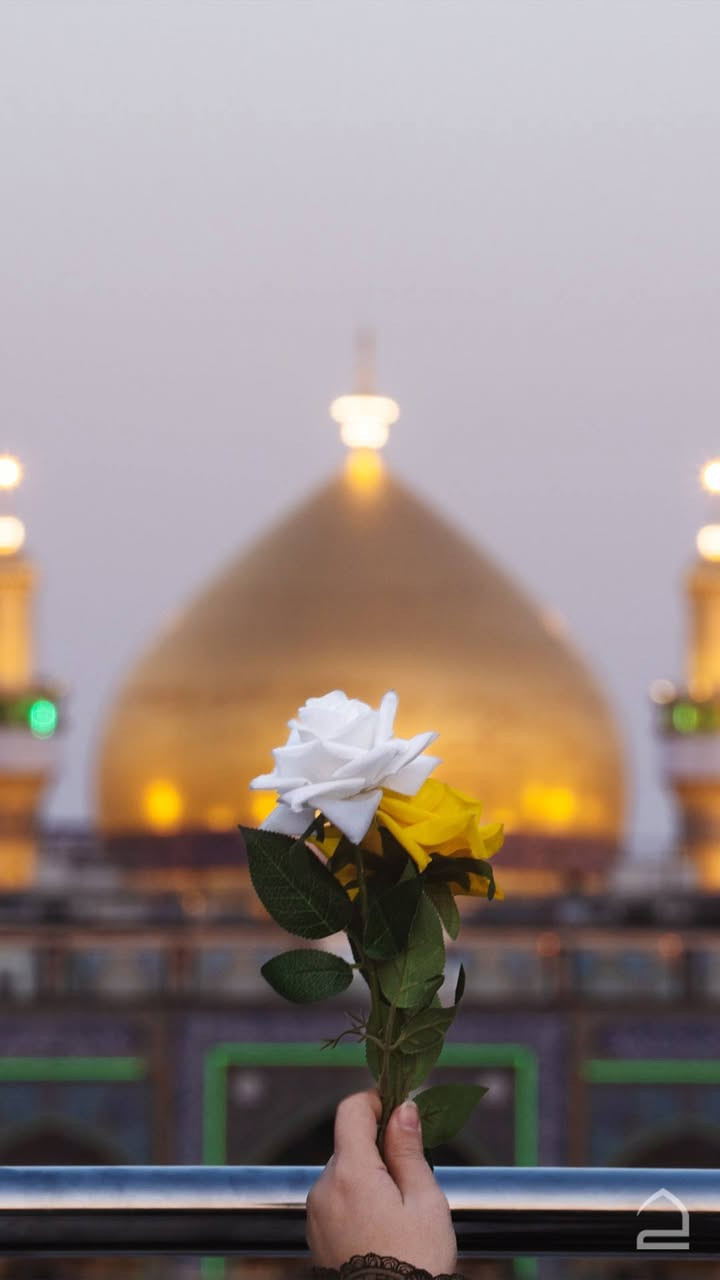 💐بمناسبة مولد الامام المنتظر عج 💐

🌹زياره الى كربلاء المقدسة🌹

✨المصادفه يوم الاثنين ١٤ شعبان ✨
2026/2/3

﴿🌺الانطلاق ب  2   الضهر  🌺
{🌺الرجوع  بعد صلاة الفجر 🌺

🤍 سعر النفر 8 الاف دينار مرجع 🤍

🚍للعوائــــــــــل فقــــــــــــط 🚍

🚸🚸مكان التجمع فلكة العلماء 🚸🚸

 📳للحجز الاتصال ع الرقم او واتساب 📳

***********
