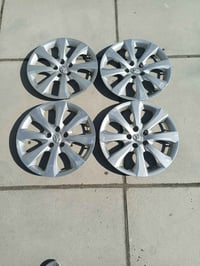 تخم كبات كورلا بلادي حجم 16 المكان بغداد للاستفسار 07710964698 السعر 3...