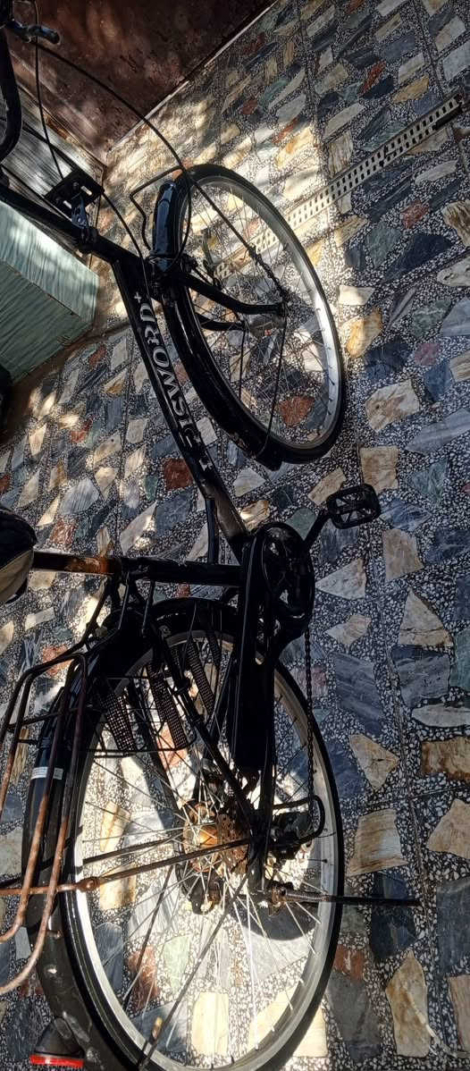 السلام عليكم باسكل بناتي حجم 26نظيف شخط مابي كير 6نمر +حساس باسكل مال حاويه على ايدي نزلته سعره 80وبي مجال للشراي مكان بغداد كماليه الاتصال على الرقم *********** مستعجل على بيعه
