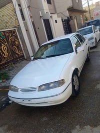 دايو فراشه • رقم كربلاء • نجف ابو طالب