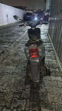 عصفورية • فحل • اوراق يابان