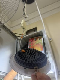 كبير 34 ابيض 18 اصفر —-  23  صغير اصفر 36 صغير  ابيض  بس ينشد بالكهربا...