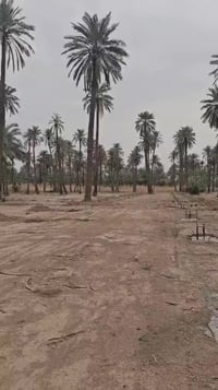 الجعارة المدائن • دونم حسب الطلب • طابو ملك