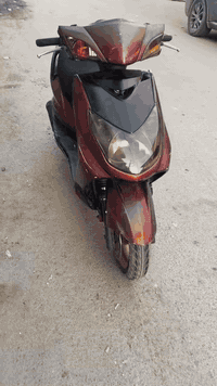 سكنس فحل للبيع سعر 550وبيه مجال رقم 07753501231