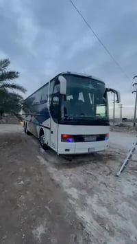 من رخصت الادمن للبيع او مراوس سياره زغيره الفينيه سنكل رقم مارسدس 2001...