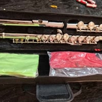 فلوت • جديدة • حقيبة