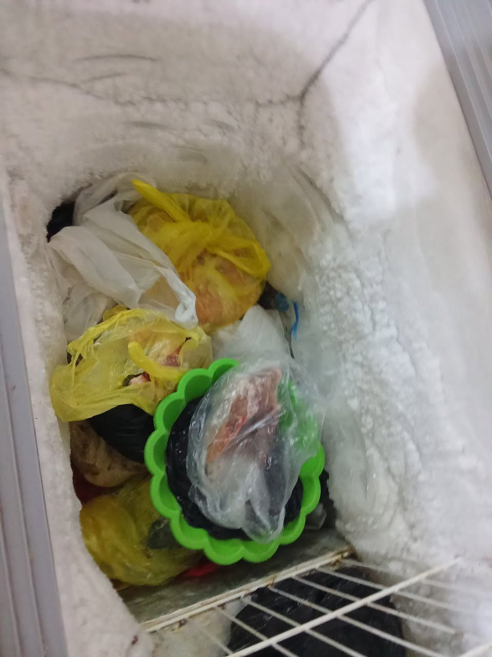 مجمده حجم كبير بسعر مناسب


**إذا كنت صاحب هذا الإعلان وتريد حذفه لأي سبب، رجاءا أرسل رسالة إلى الدعم الفني**