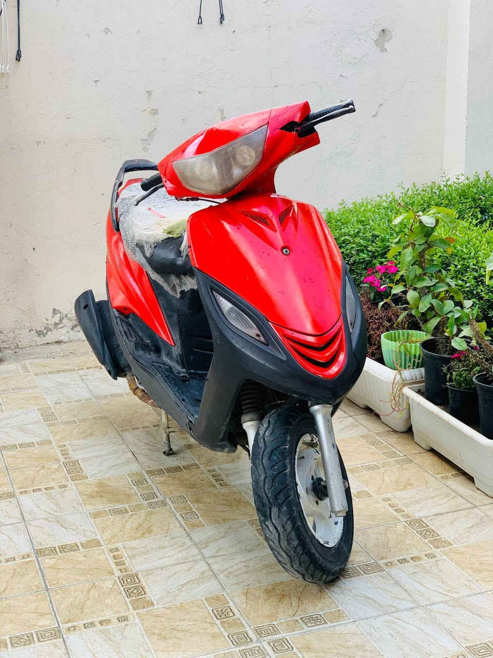 ماكس ثعلب 
شلعه ومعدل ونعومه 
السعر/275 وبيها مجال 
حله مركز المدينة 
***********
