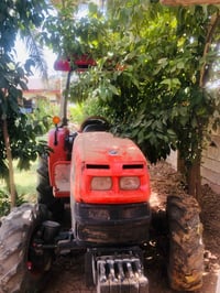 كيوتي • فول • البغانم