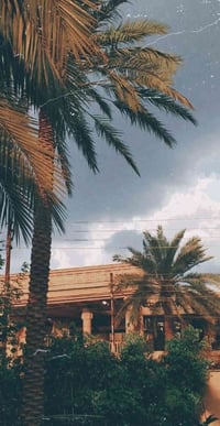 حي الشرطة النجف • ٤٠٠م • ساحتين