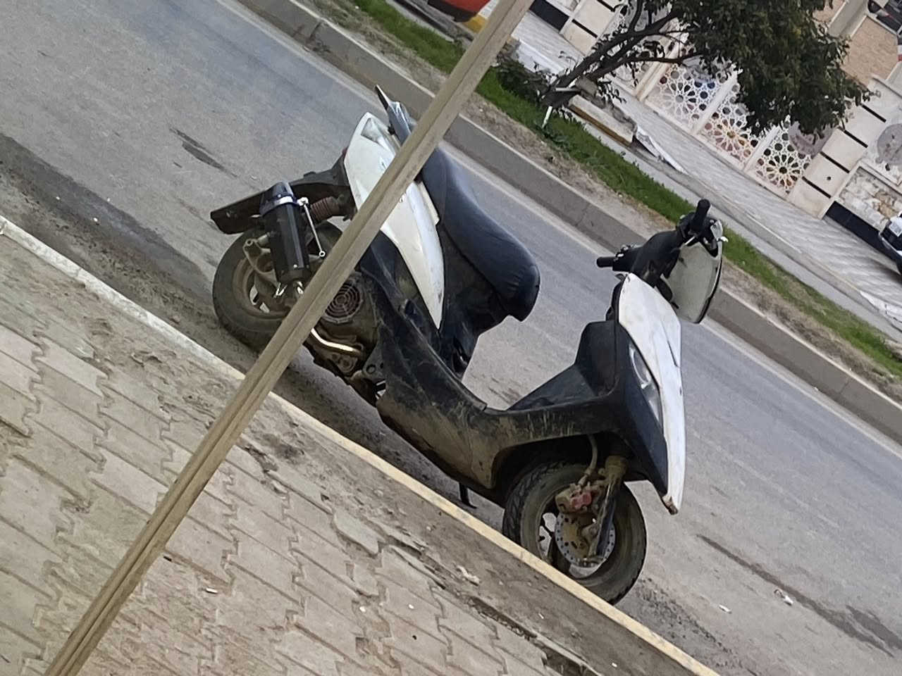 سلام عليكم ثعلب كابريتا للبيع سعر 300 قفل كامله وشاد صالنصه توبو وياها


**إذا كنت صاحب هذا الإعلان وتريد حذفه لأي سبب، رجاءا أرسل رسالة إلى الدعم الفني**