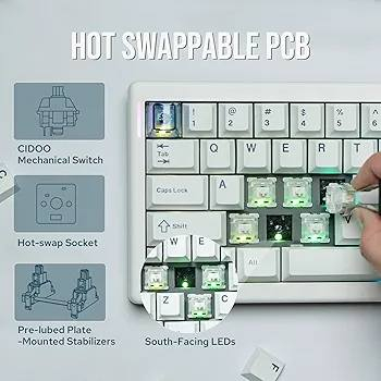 كيبورد العاب لاسلكي سيدو QK61 V2 VIA قابل للبرمجة بنسبة 60% من ميشلاندز، كيبورد ميكانيكي مخصص قابل للتبديل السريع مع لوحة كمبيوتر واضاءة RGB وبطارية 3000mAh لنظام ويندوز وماك (ابيض) السعر 35 الف دينار


**إذا كنت صاحب هذا الإعلان وتريد حذفه لأي سبب، رجاءا أرسل رسالة إلى الدعم الفني**