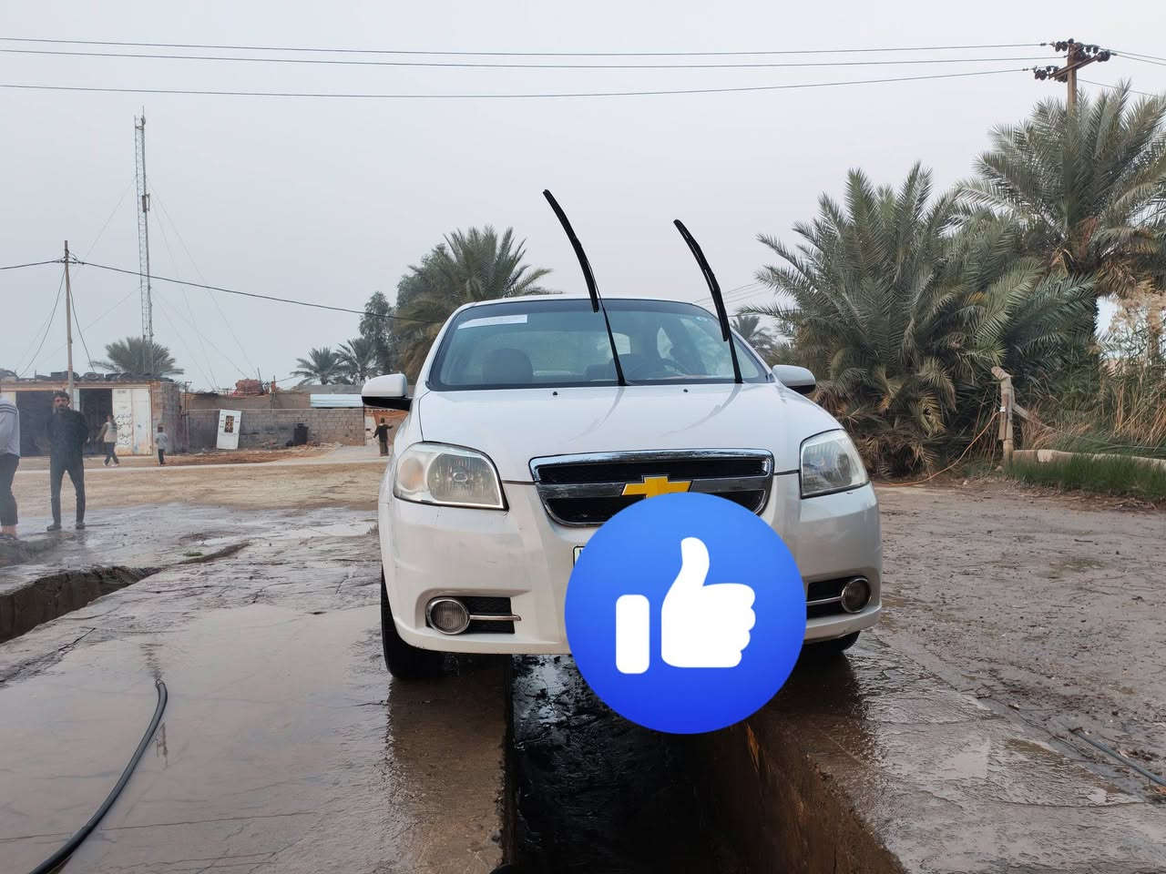 افيو 2011 رقمها ديالى مشروع وطني مداور ثاني يوم السياره مكفوله من الصبغ والضربه القويه تبريد تدفئه كله شغال السياره مال جناي
سعرها 75 وبيها مجال التواصل عالرقم ***********
