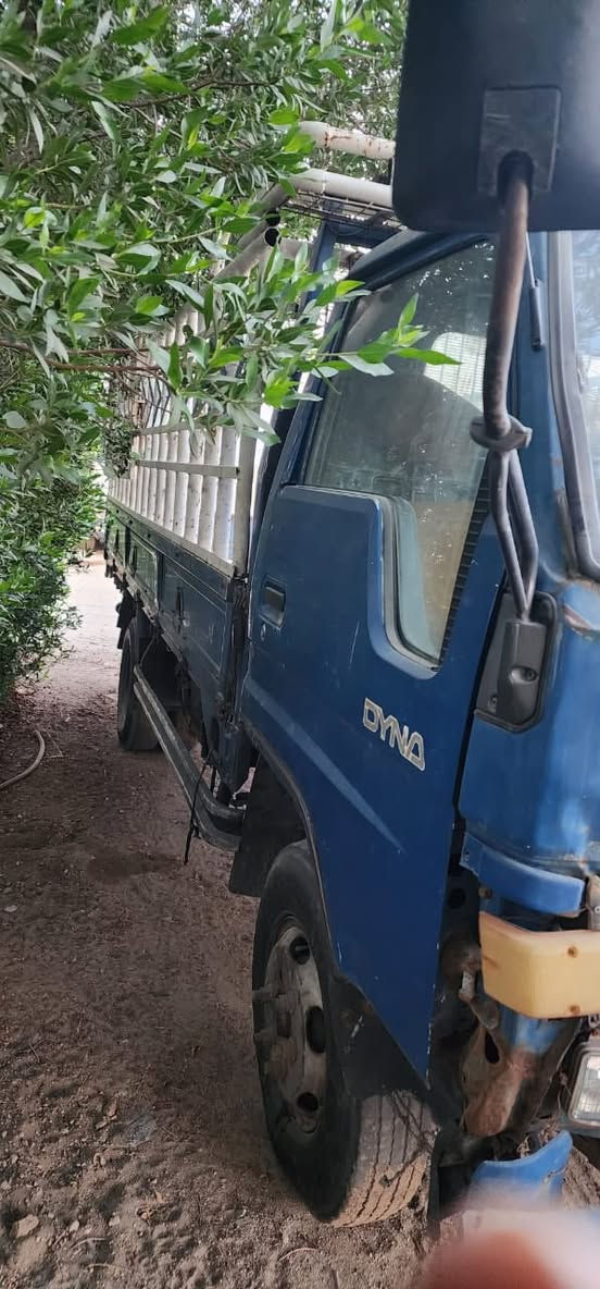 دانيه للبيع رقم البصره سعر 45 وبيه ومجال    ***********
