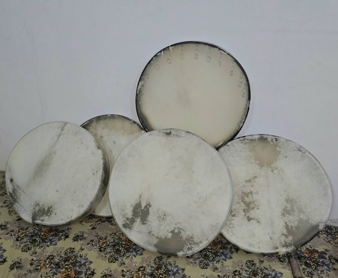 توجد لدينا وجبه من الدفوف الباكستانيه الاصليه شرط الضمان يوجد توصيل
العنوان ديالى بعقوبه 
سعر الزوج 95 مفرد 50 
للحجز واتساب فقط
***********
