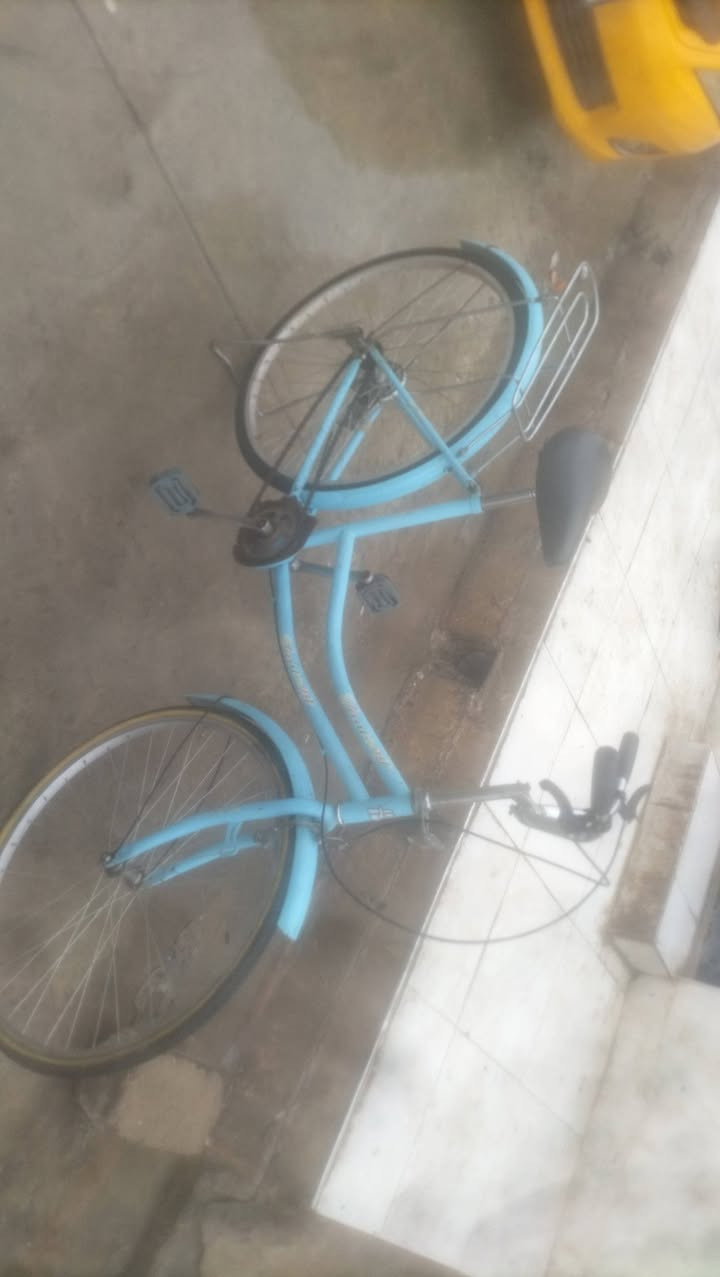 سلام عليكم باسيكل للبيع حجم 26 ياباني اصلي بريك خلفي شغال جاملغات بلادي مالته مكاني حي عسكري سعر 40بي مجال لشراي


**إذا كنت صاحب هذا الإعلان وتريد حذفه لأي سبب، رجاءا أرسل رسالة إلى الدعم الفني**