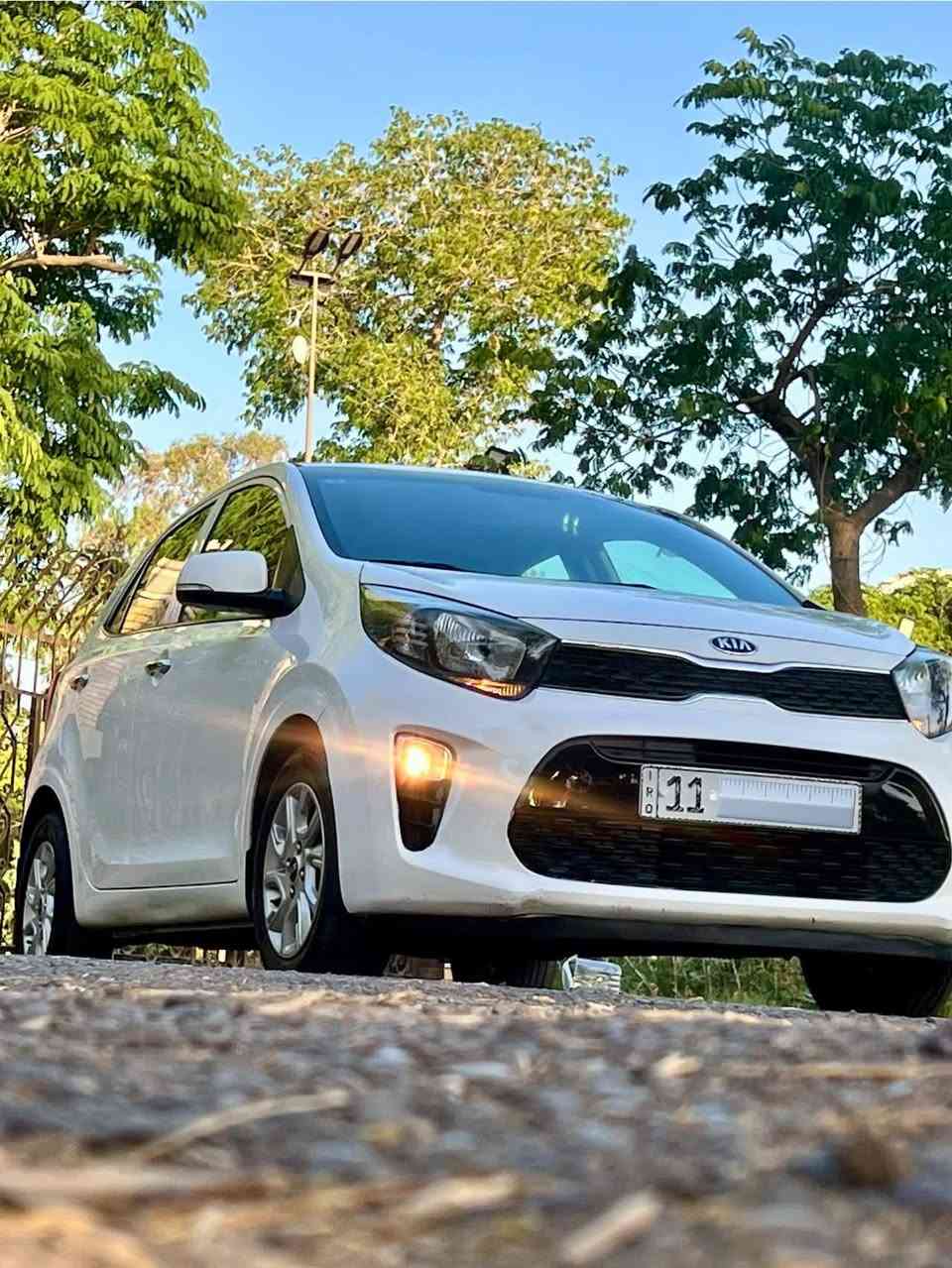 يالله .. 
عندي كيا  بيكانتو  موديل 2019  خليجي  محرك  4 سلندر دوش المرغوب لون ابيض  رقم  بغدا  سنويه وهزه ورقم جديد  باسمي  شاشه  وكاميرا  خلفية  وحساس خلفي  بلادي  مري  شفط واشاير  بالمري  السياره  جاهزه  من  كلشي  كير محرك  تبريد صدر   كلشي  جاهزه  مكاني  بغداد المنصور الي  يحب  يتصل ***********
