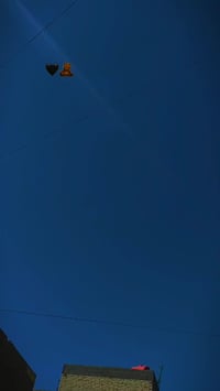 فراشه • نضافه • كهربائيات شغاله