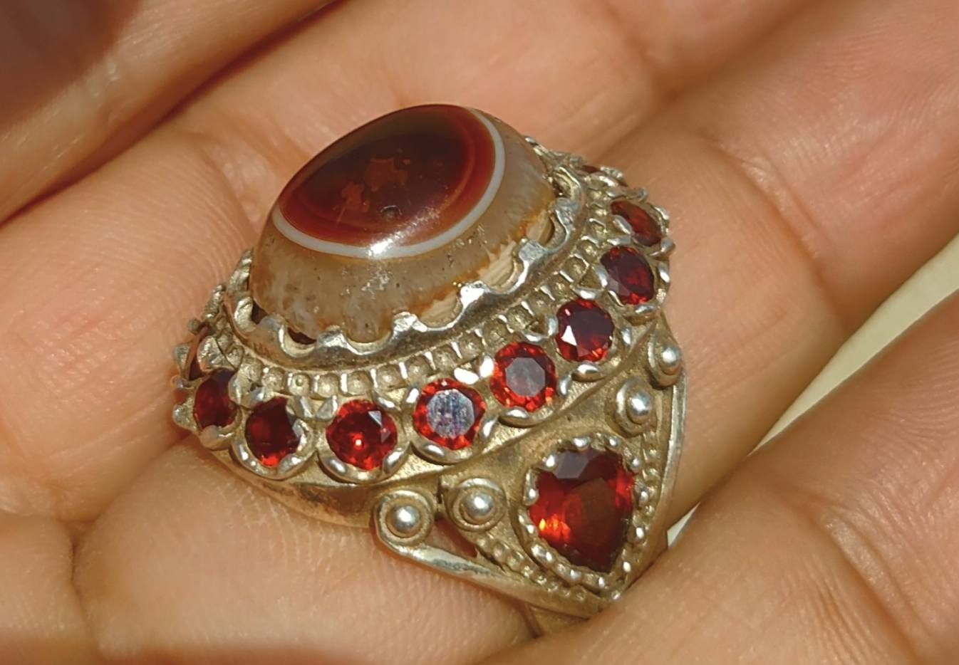 السليماني الاحمر الهندي العين الصريحة صياغة تطعيم للبيع ***********
