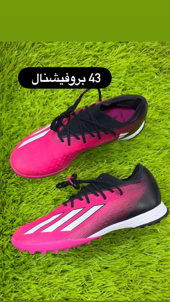 بالة اوربي
شرط نظافة


**إذا كنت صاحب هذا الإعلان وتريد حذفه لأي سبب، رجاءا أرسل رسالة إلى الدعم الفني**