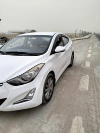 ٢٠١١ • بدون صبغ • نجف