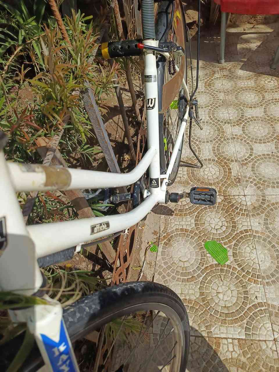 للبيع نضافه كدام اعيونكك نصيف كلش 
شركه اوفج مديل 2020
بــ١١٠وبي مجال 
بدون غراض بــ١٠٠
لاموشراي لايراسل رجائن 🧊👍🏼
مكان نجف ـ مشخاب يم كطعت المراجدهه💞


**إذا كنت صاحب هذا الإعلان وتريد حذفه لأي سبب، رجاءا أرسل رسالة إلى الدعم الفني**