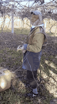 سلام عليكم ورشه تقليم سجر و حفر احواض سجر الي عنده يتصل ع هذا رقم ***********
