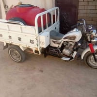 ستوته • موديل 2021 • أوراق أصولي