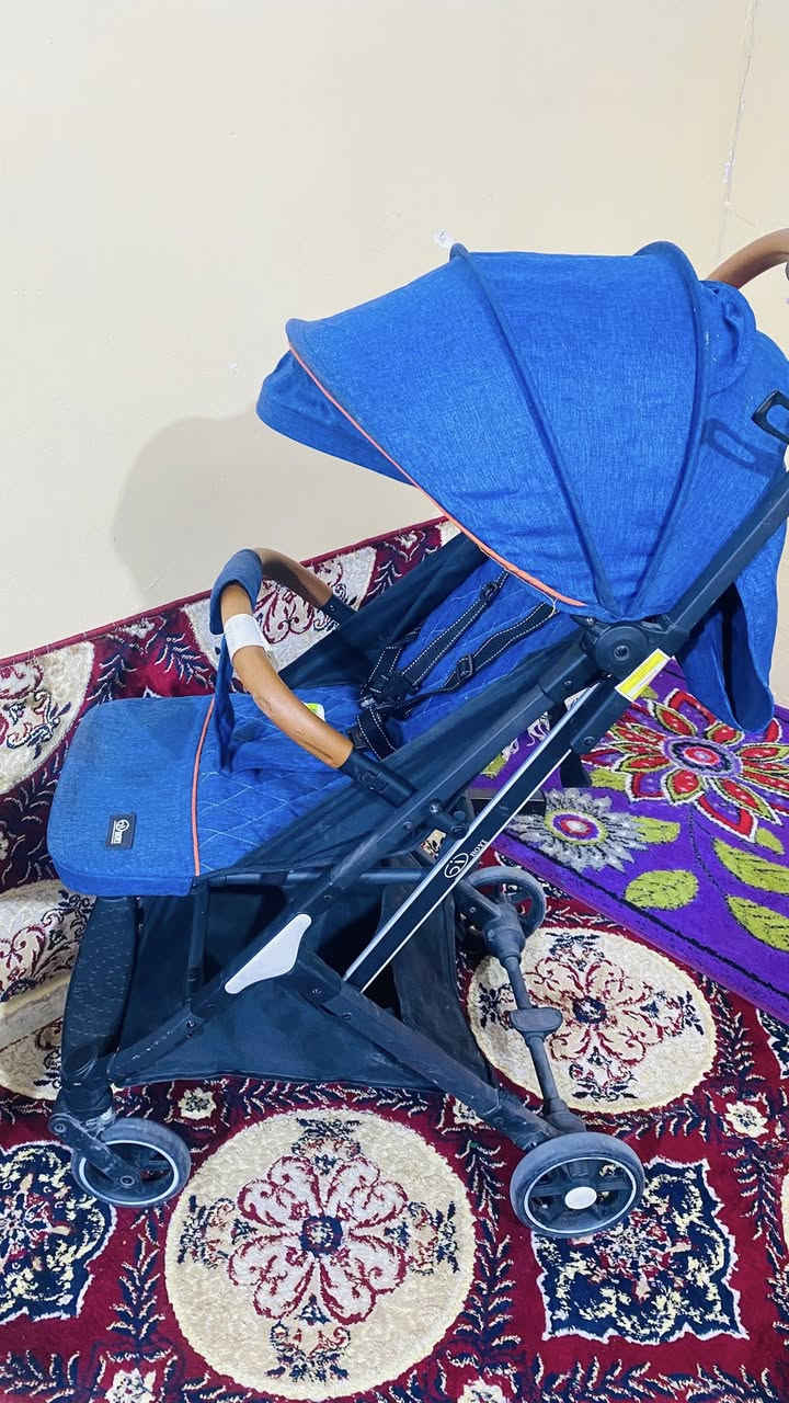 عربة اطفال السعر 60 الف
تقريباً جديده هـ ***********
