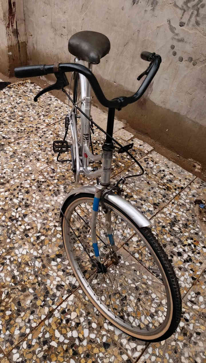 اسلام عليكم بايسكل ياباني حجم 26 
نضيف السعر 70 وبي مجال المكان كربلاء لابراهيميه
تفاصيل أكثر خاص

أرقم *********** كربلاء, العراق
