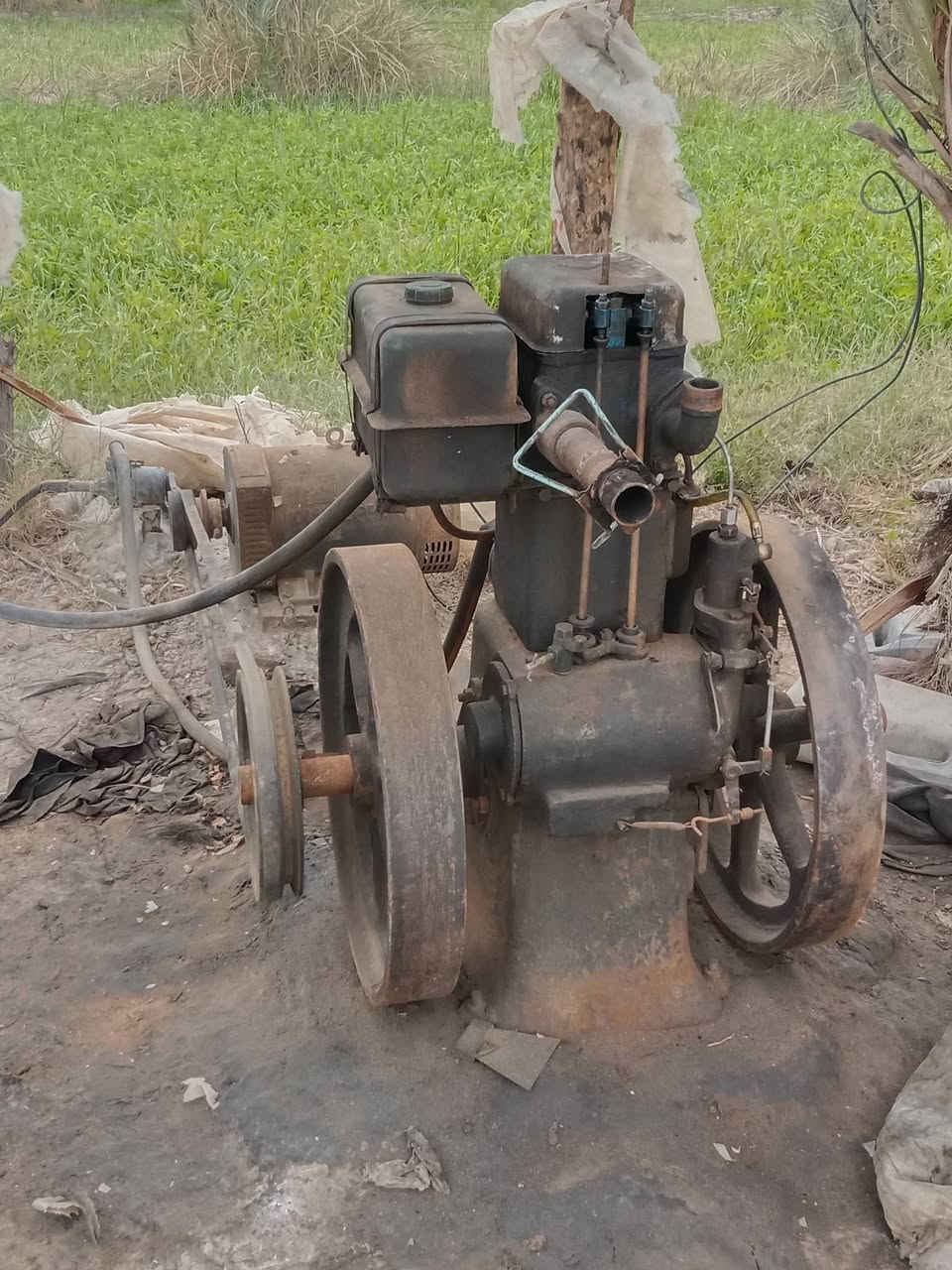 مولده ام القايش للبيع
السعر 500تفاصيل اتصال 
***********
