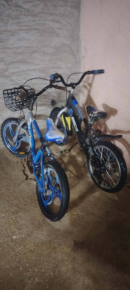 مكلف بالنشر والله مكلف موأليه ذن ليريدهن يخابر صاحبهن هذا رقمه بالمنشور ب60 أثنينهن وبيهن مجال
***********
