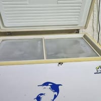 مجمدة • جديدة • الغزاليه