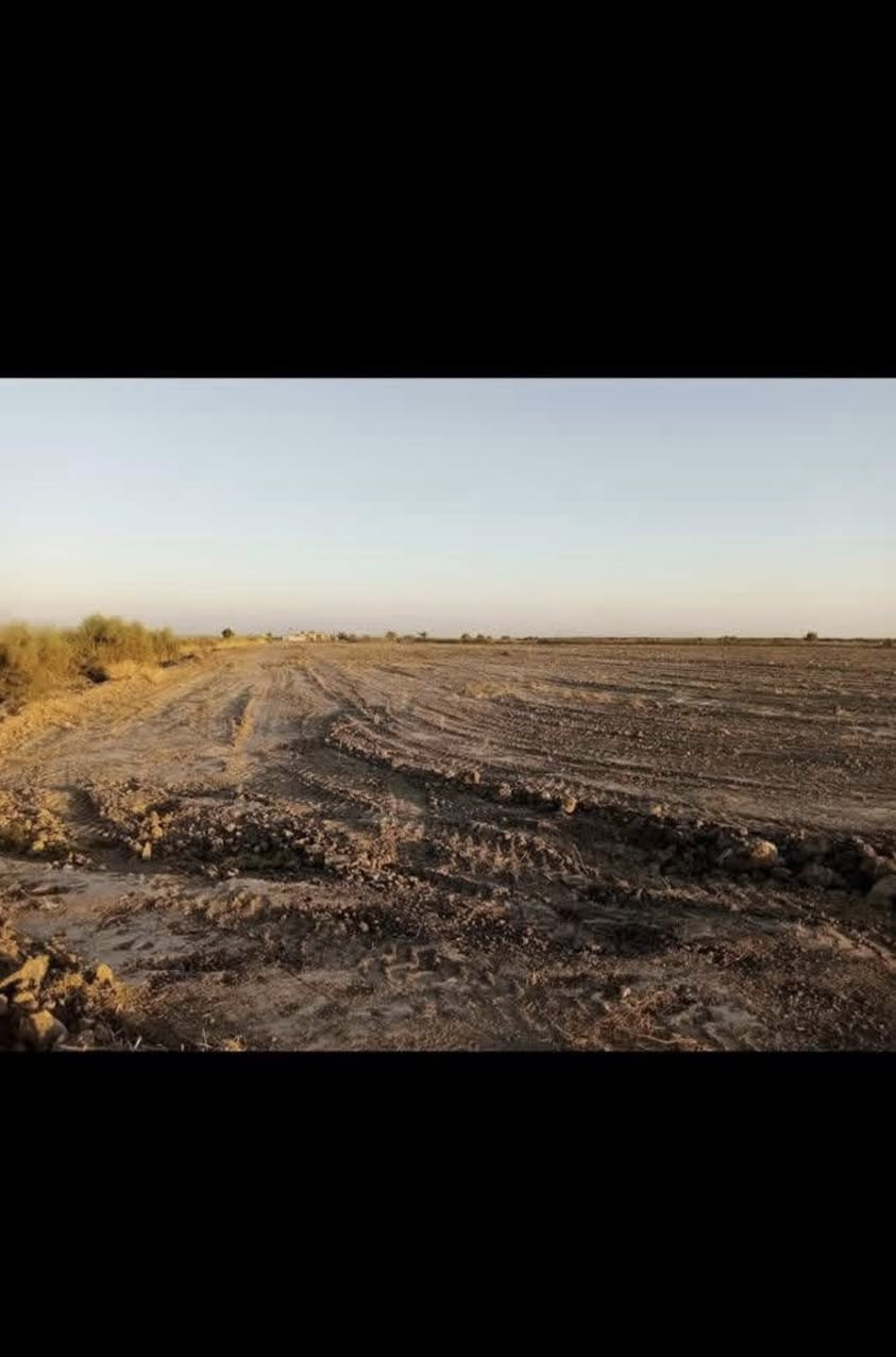 السلام عليكم ارض زراعيه للإيجار المساحه100دونم تصلح لزراعة الجت ماء حلو متوفر مع بزل ع طول الگاع ***********
