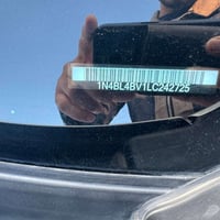 تيما • ٢٠٢٠ • عامرية الصمود