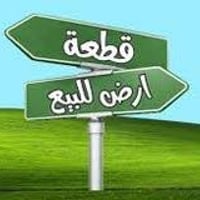 ديوانيه • ٢٠٠م • شارع ٣٠م
