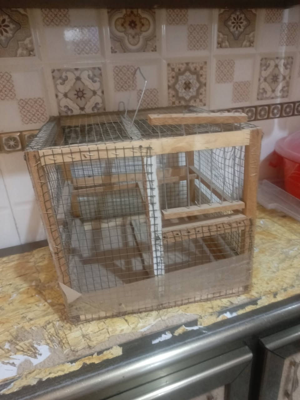 قفص بلابل نضيف ب6


**إذا كنت صاحب هذا الإعلان وتريد حذفه لأي سبب، رجاءا أرسل رسالة إلى الدعم الفني**