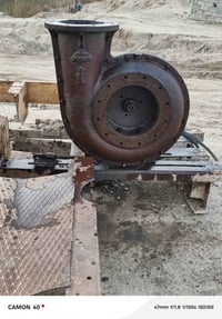 خنزيرة فايق حجم 12 ب 10 نظيفة   الشراي يتصل ويدلل 07766919554