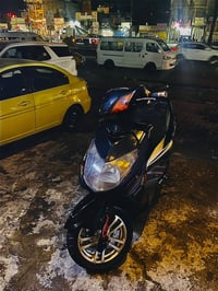 سكنس فحل طلاعات بيه كور صليب روله دوشي بوشته 58.5 ويل كب نجمه  يدات بر...