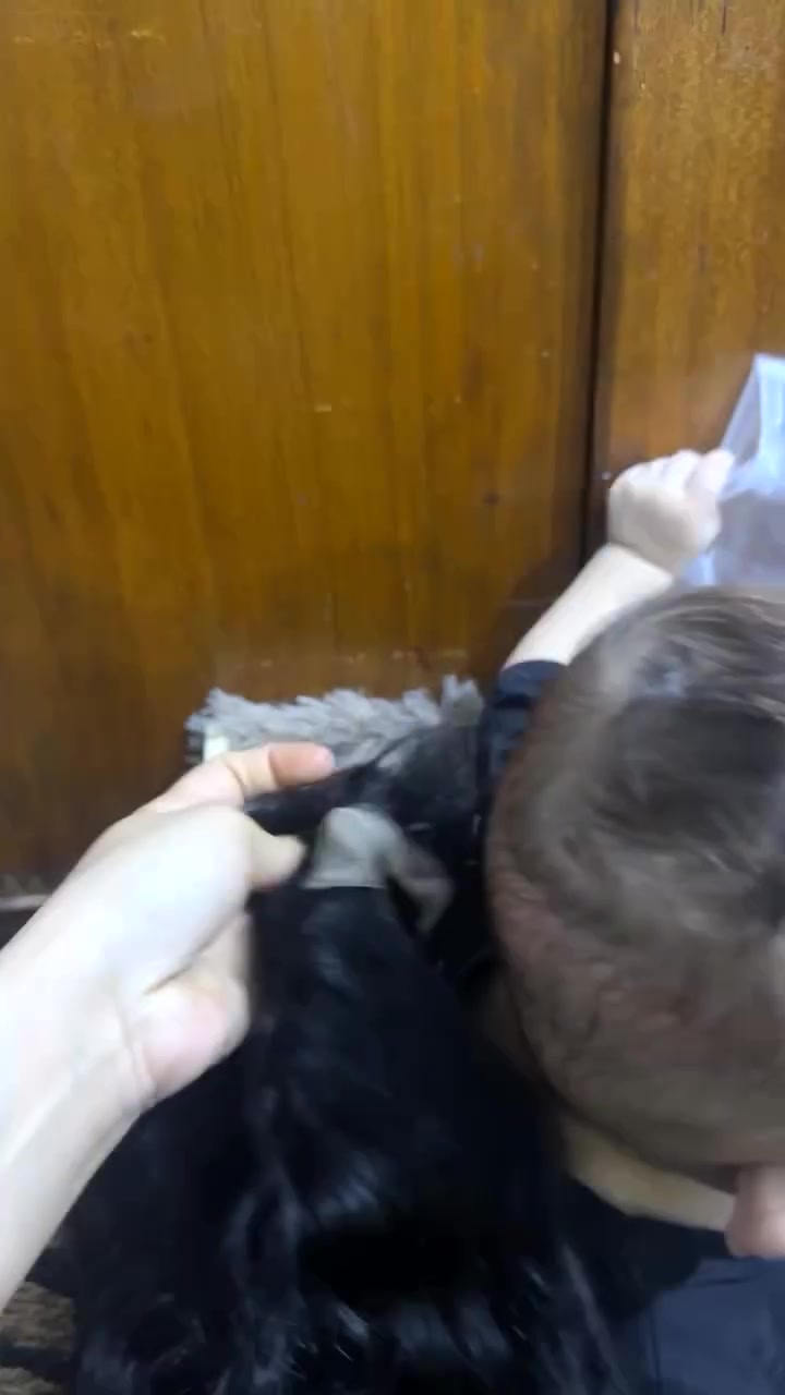 باروكة شعر طبيعي ١٠٠٪؜ كاريي


**إذا كنت صاحب هذا الإعلان وتريد حذفه لأي سبب، رجاءا أرسل رسالة إلى الدعم الفني**