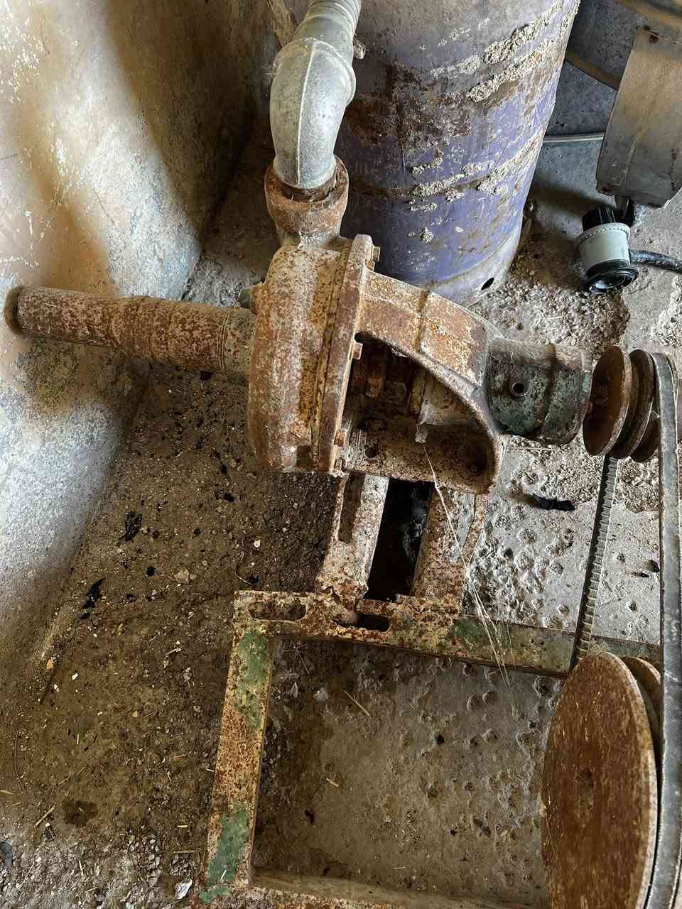 ‏سلام عليكم للبيع خنزيرة ماء السعر 140 وبيها مجال علوان ديالى بعقوبة ***********
