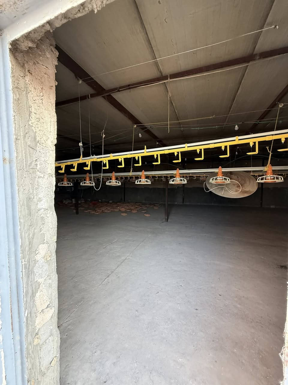 حقل دواجن للبيع او الايجار
جاهز للعمل اوتماتيك كهرباء وطني مولدات عدد ٢ 
مكانه نجف شارع الديوك 
***********
