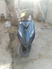 ثعلب • نضيفه • غزاليه
