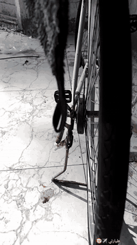 سلام عليكم باسكل البيع باسكل جديدونضيف الباسكل شوفت عينك الباسكل او مراوس بدرجه خاص مفتوح


**إذا كنت صاحب هذا الإعلان وتريد حذفه لأي سبب، رجاءا أرسل رسالة إلى الدعم الفني**