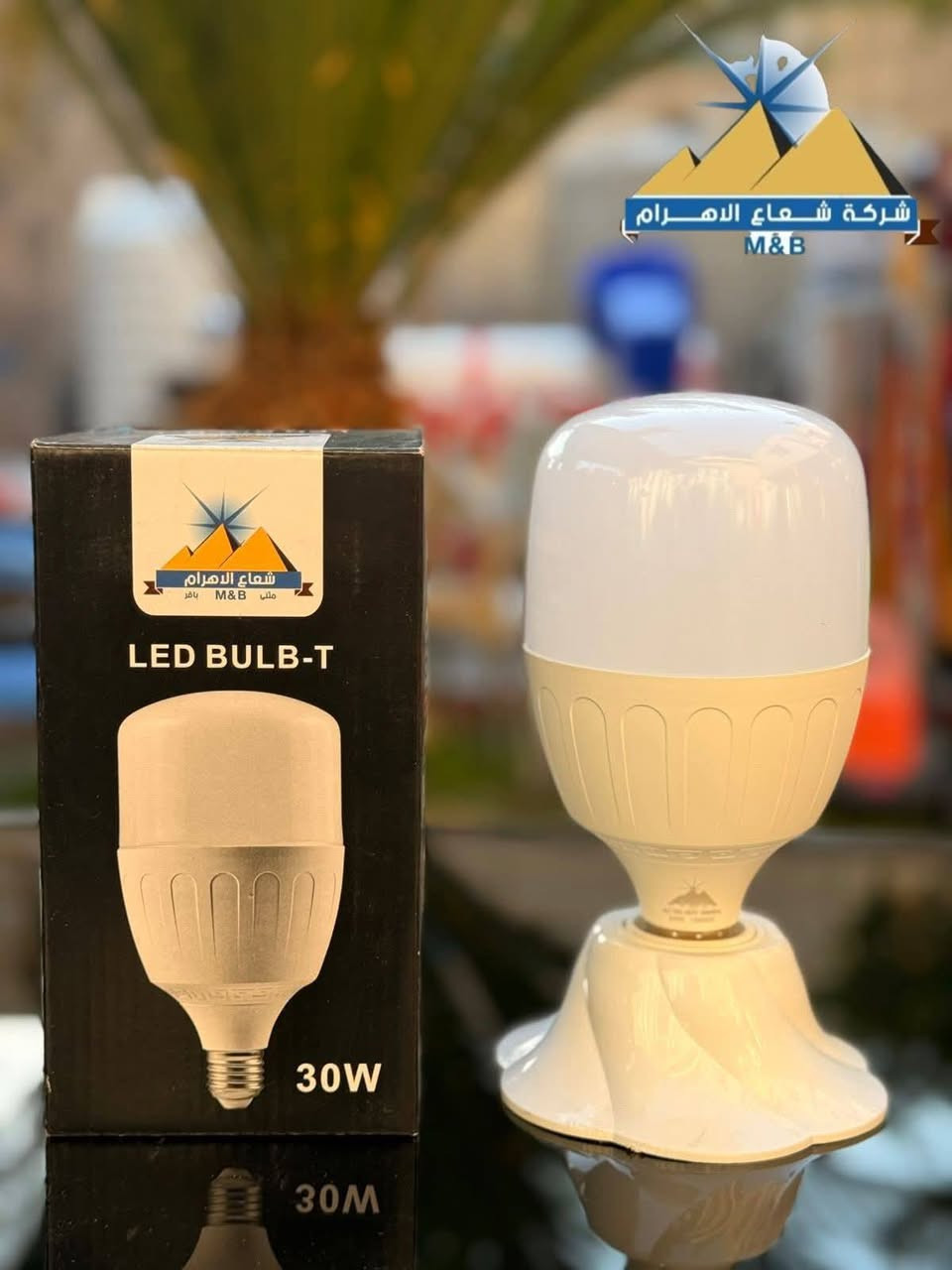 ان ارضيناك تحدث عنا
وان لم نرضيك تحتدث الينا.


**إذا كنت صاحب هذا الإعلان وتريد حذفه لأي سبب، رجاءا أرسل رسالة إلى الدعم الفني**