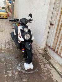 سكنس جبلي • ناشفة • مكفول